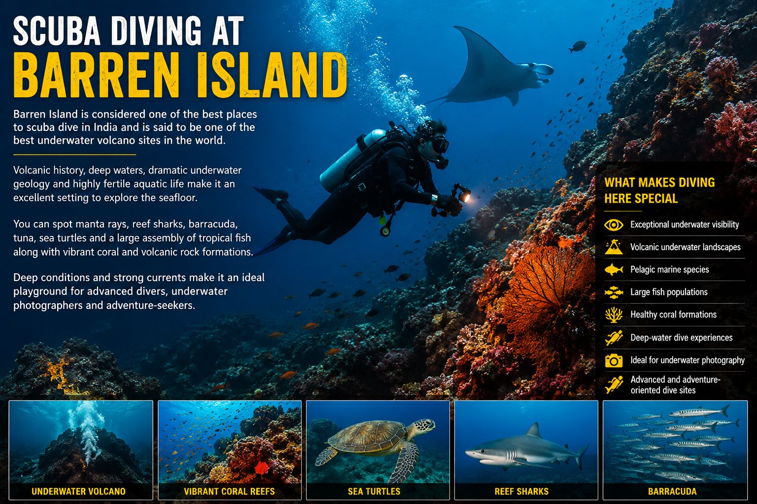 Scuba Diving at Barren Island