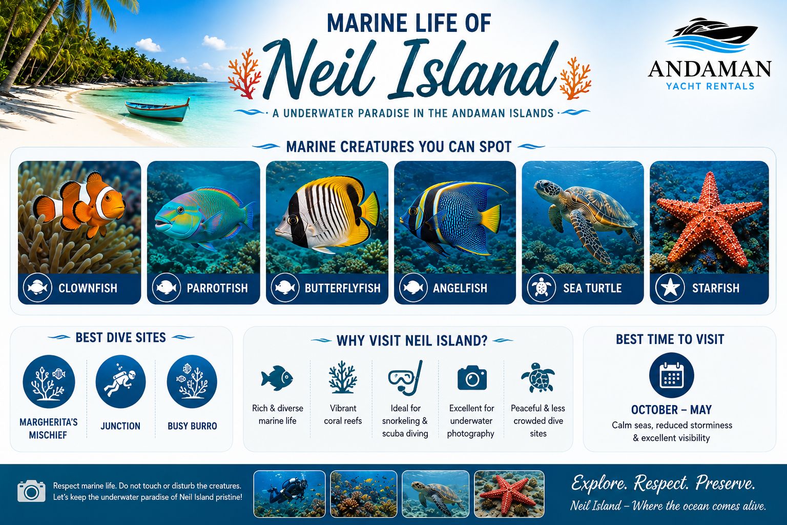 Marine Life of Neil Island