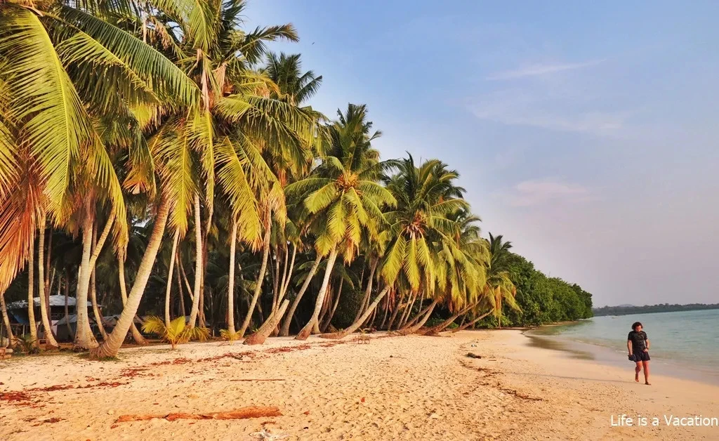 Daily Trip from Havelock Island to Barren Island