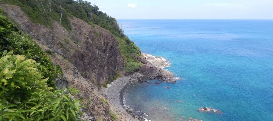 Daily Trip to Outram Island