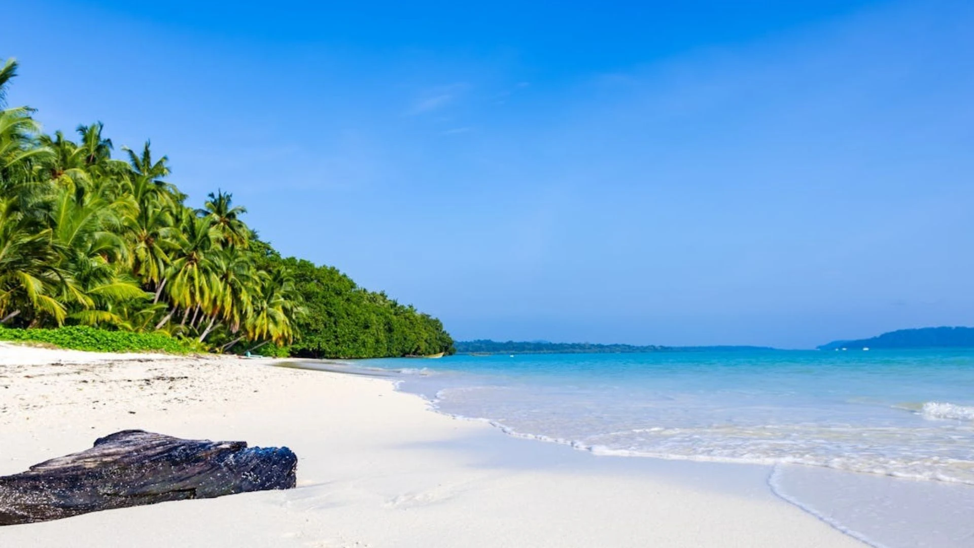 Daily Trip from Havelock Island to Barren Island